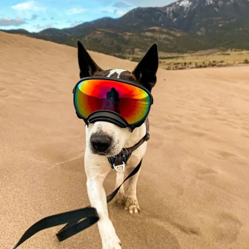 Adjustable Anti-UV Dog Goggles - Protective Sunglasses for Pets, Ideal for Travel and Outdoor Activities
