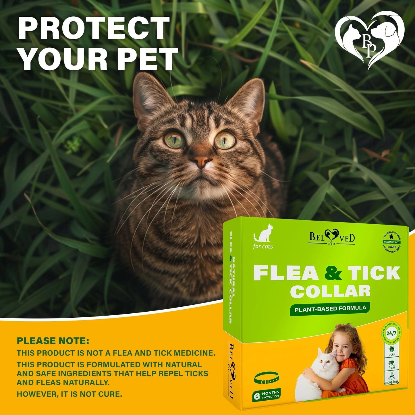 Natural Flea & Tick Collar for Cats 6 Months Control of Best Prevention & Safe Treatment anti Fleas and Ticks Essential Oil Repellent (1 Pack)