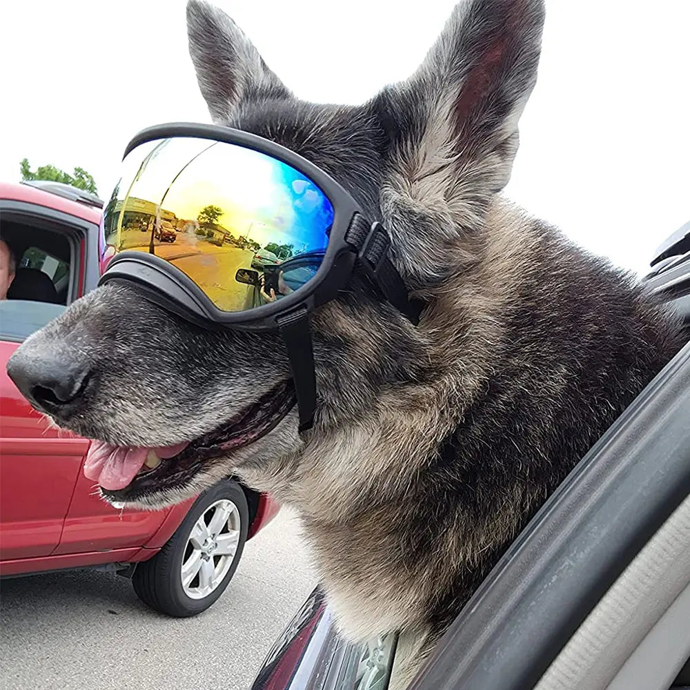 Adjustable Anti-UV Dog Goggles - Protective Sunglasses for Pets, Ideal for Travel and Outdoor Activities