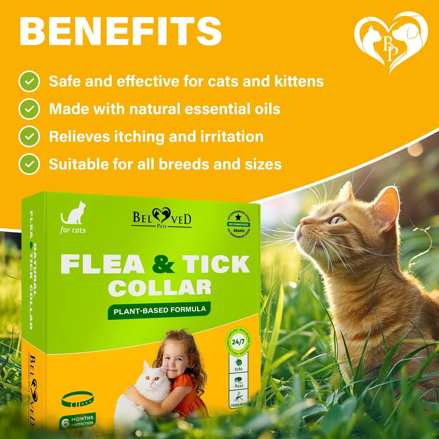 Natural Flea & Tick Collar for Cats 6 Months Control of Best Prevention & Safe Treatment anti Fleas and Ticks Essential Oil Repellent (1 Pack)
