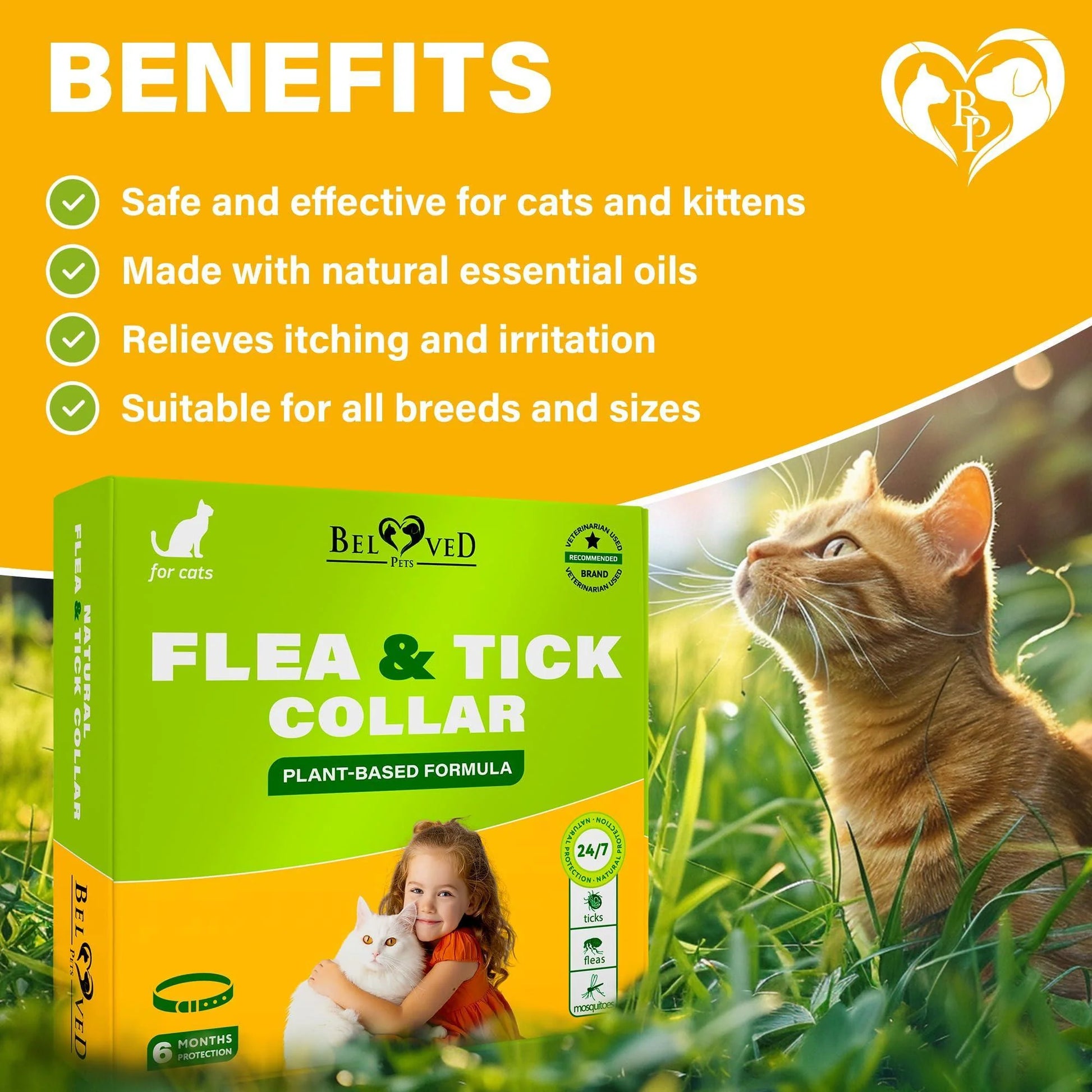 Natural Flea & Tick Collar for Cats 6 Months Control of Best Prevention & Safe Treatment anti Fleas and Ticks Essential Oil Repellent (1 Pack)